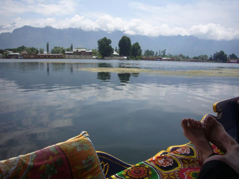 Travel - India - Kashmir - Srinagar - Shikara Ride